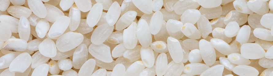 IMÁGENES DE LA DISTRIBUCIÓN DE NUTRIENTES INORGÁNICOS EN UN SOLO GRANO DE ARROZ MEDIANTE MICRO-XRF