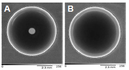 Figura 4 – Imágenes de transmisión de rayos X de dos perlas cultivadas, (A) perla china de agua dulce de alta calidad, y (B) Perla de agua de mar de Tahití.